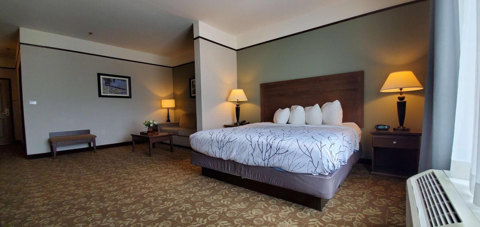 Best Western Plus Emory At Lake Fork Inn & Suites Dış mekan fotoğraf